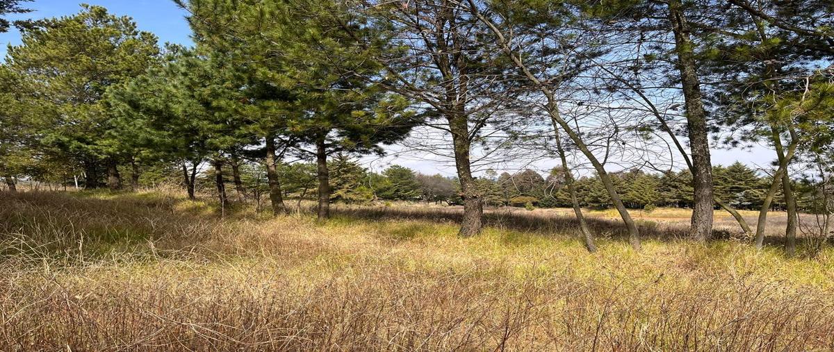 Foto de terreno habitacional en venta en  , bombatevi ejido (ej. santa cruz bombatevi), atlacomulco, méxico, 30652271 No. 04