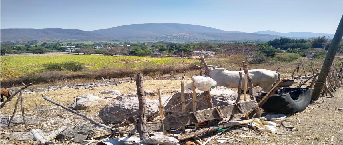 Foto de terreno habitacional en venta en  , bonifacio garcía (colonia alejandra), tlaltizapán de zapata, morelos, 0 No. 03