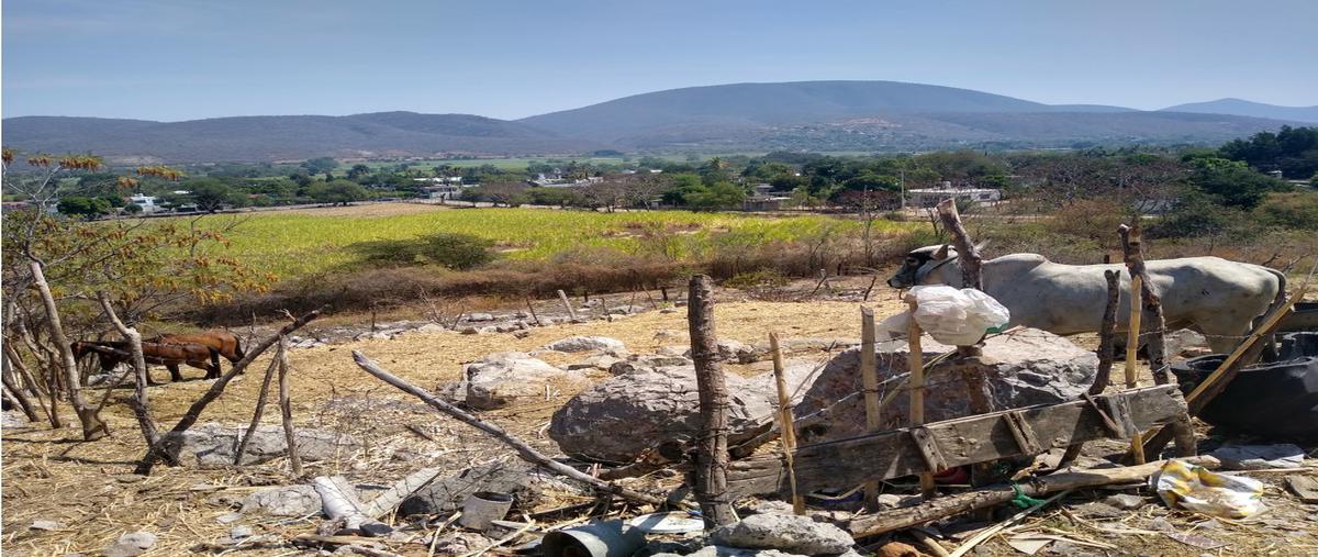 Foto de terreno habitacional en venta en  , bonifacio garcía (colonia alejandra), tlaltizapán de zapata, morelos, 0 No. 04
