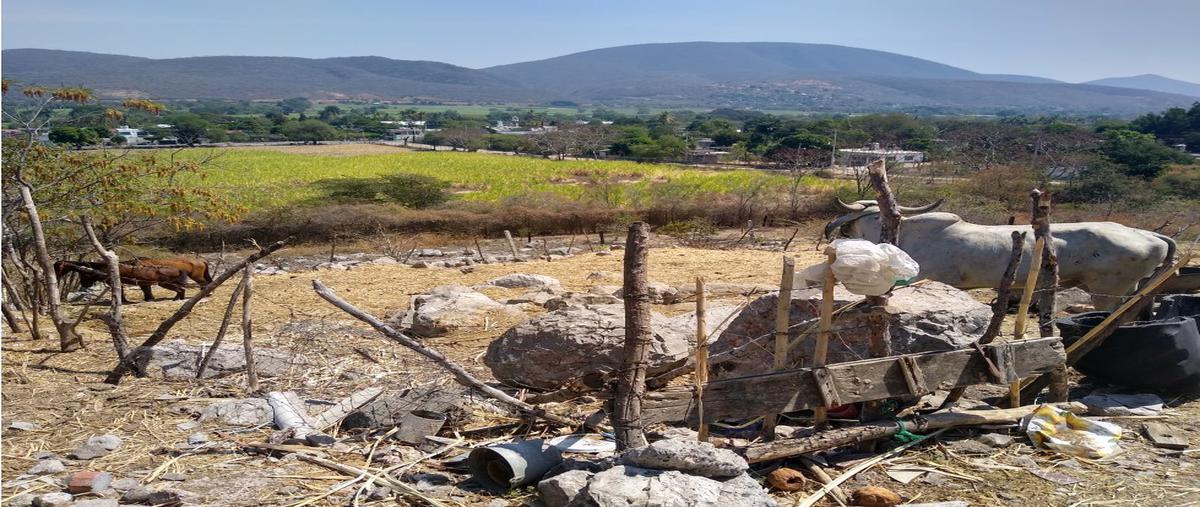 Foto de terreno habitacional en venta en  , bonifacio garcía (colonia alejandra), tlaltizapán de zapata, morelos, 0 No. 05