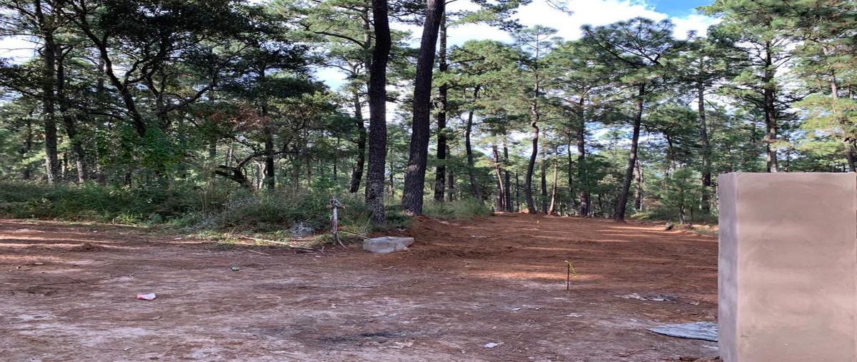 Foto de terreno habitacional en venta en borregos , los espinos, tapalpa, jalisco, 0 No. 03