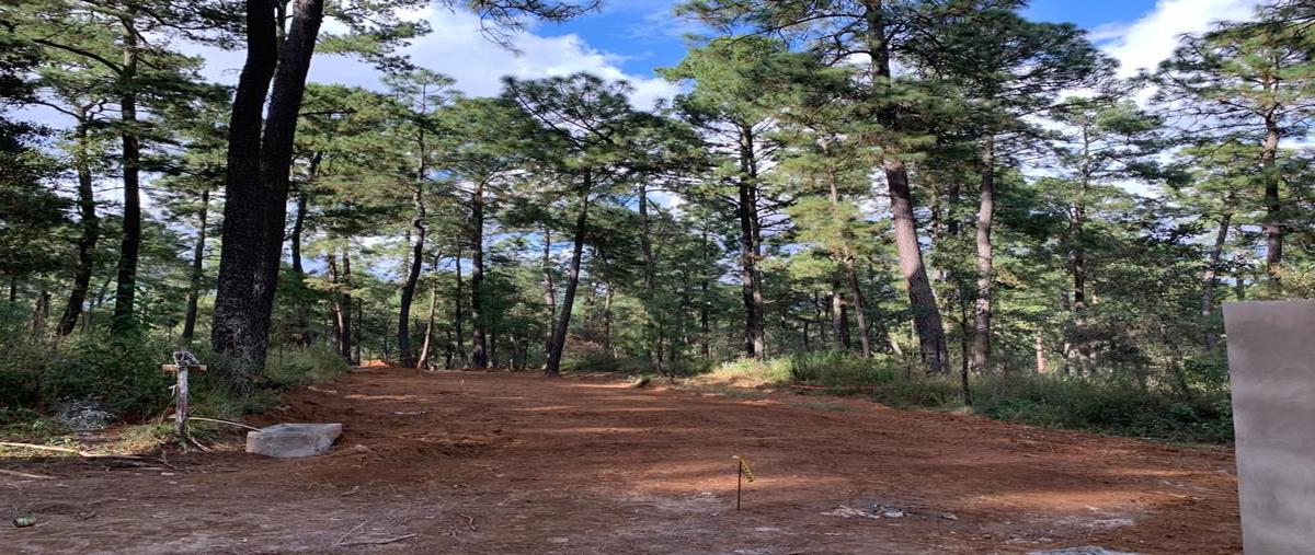 Foto de terreno habitacional en venta en borregos , los espinos, tapalpa, jalisco, 0 No. 04