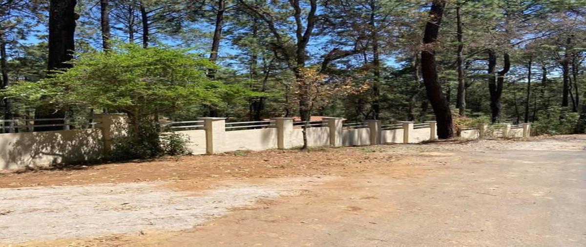 Foto de terreno habitacional en venta en borregos , los espinos, tapalpa, jalisco, 0 No. 05