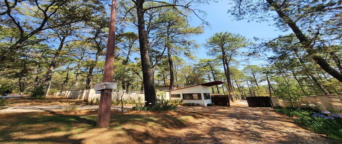 Foto de terreno habitacional en borregos , los espinos, tapalpa, jalisco, 27894242 foto 03 Foto de terreno habitacional en venta en borregos , los espinos, tapalpa, jalisco, 27894242 No. 03