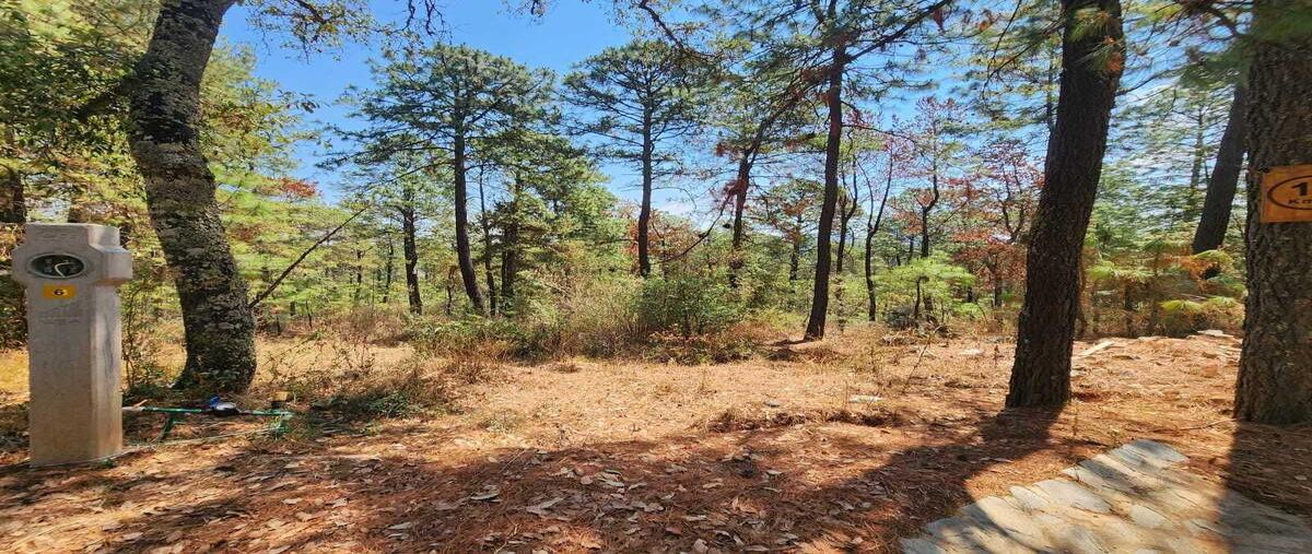 Foto de terreno habitacional en borregos , los espinos, tapalpa, jalisco, 27894242 foto 04 Foto de terreno habitacional en venta en borregos , los espinos, tapalpa, jalisco, 27894242 No. 04