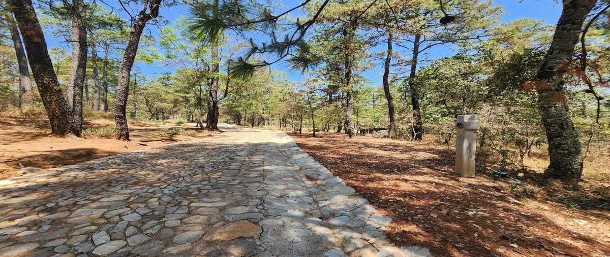Foto de terreno habitacional en borregos , los espinos, tapalpa, jalisco, 27894242 foto 05 Foto de terreno habitacional en venta en borregos , los espinos, tapalpa, jalisco, 27894242 No. 05