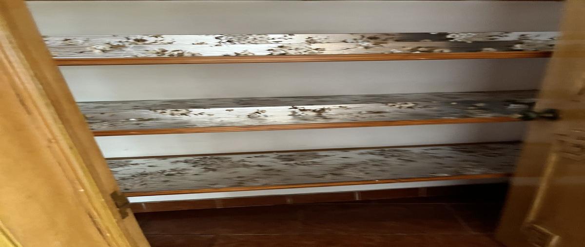 Foto de casa en venta en bosque de caoba , bosque de las lomas, miguel hidalgo, df / cdmx, 0 No. 05