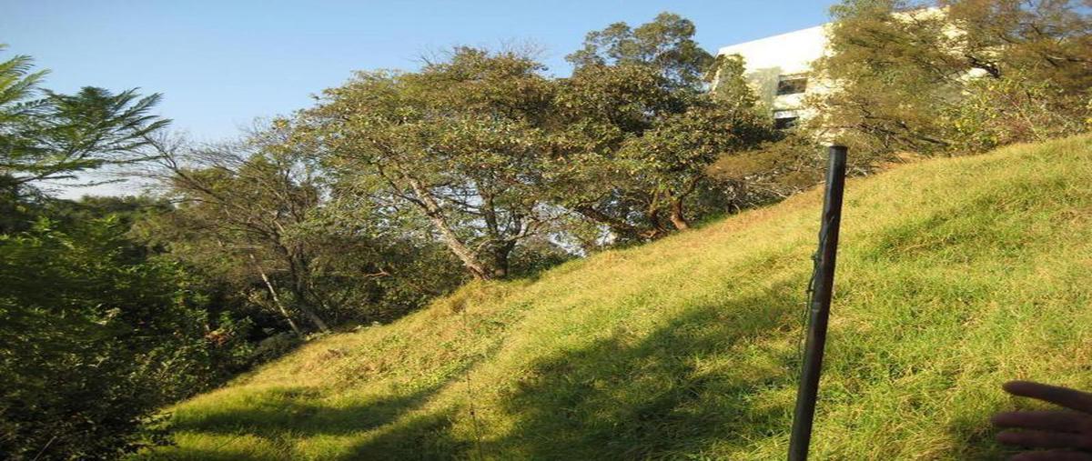 Foto de terreno habitacional en venta en  , bosque de chapultepec i sección, miguel hidalgo, df / cdmx, 8469412 No. 01