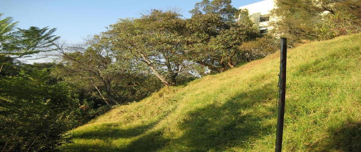 Foto de terreno habitacional en venta en  , bosque de chapultepec i sección, miguel hidalgo, df / cdmx, 8469412 No. 02
