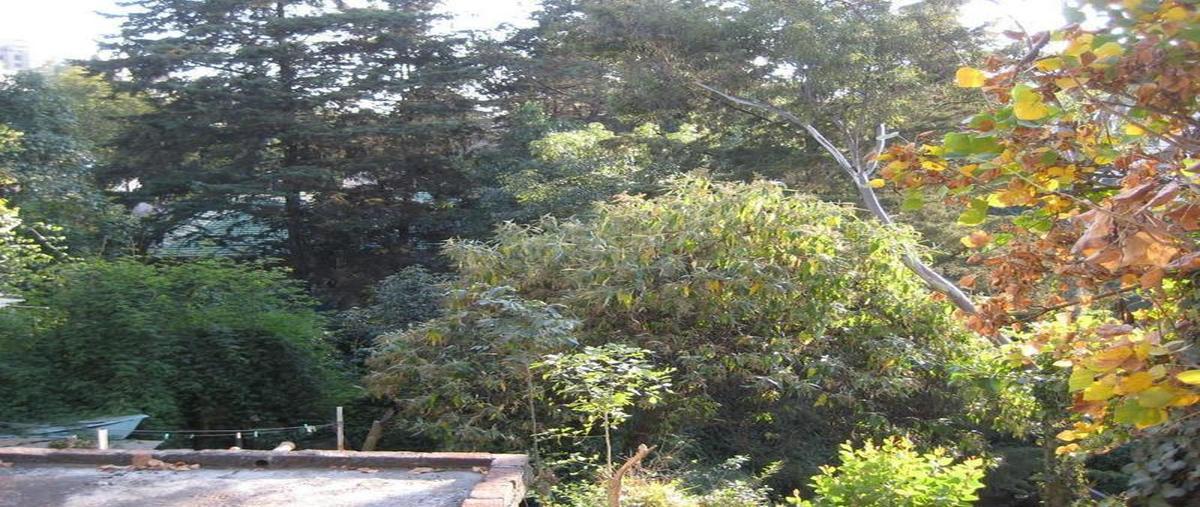 Foto de terreno habitacional en venta en  , bosque de chapultepec i sección, miguel hidalgo, df / cdmx, 8469412 No. 03
