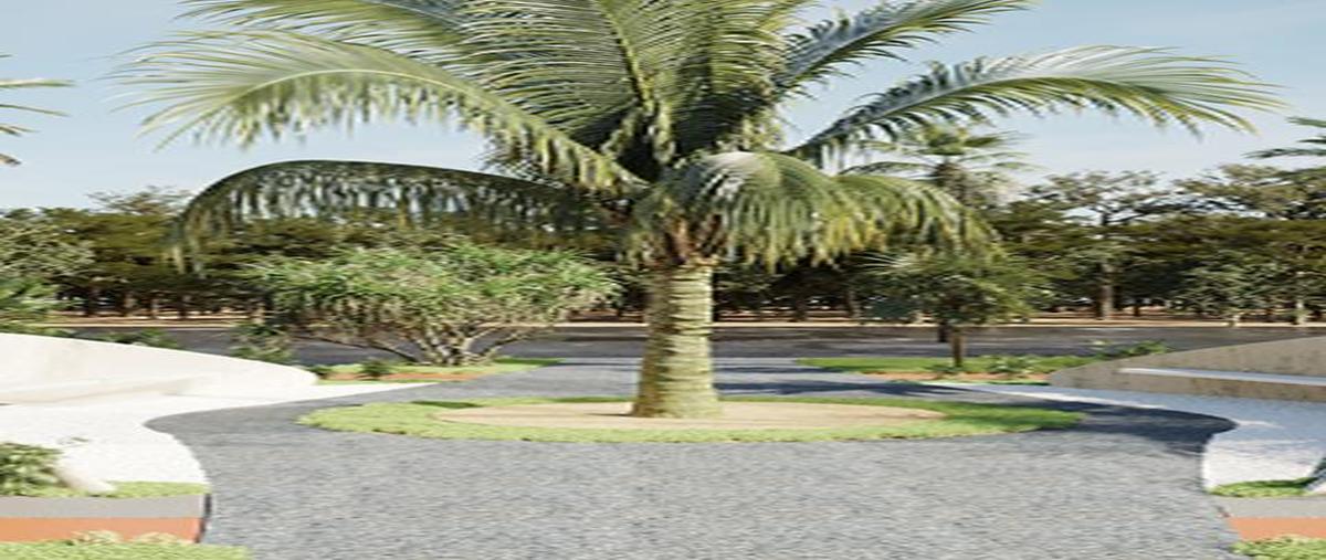 Foto de casa en venta en  , bosque de cristo rey, solidaridad, quintana roo, 0 No. 05