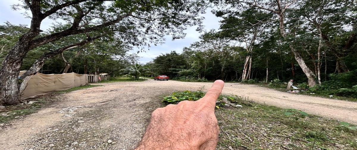 Foto de terreno habitacional en venta en  , bosque de cristo rey, solidaridad, quintana roo, 30340428 No. 03