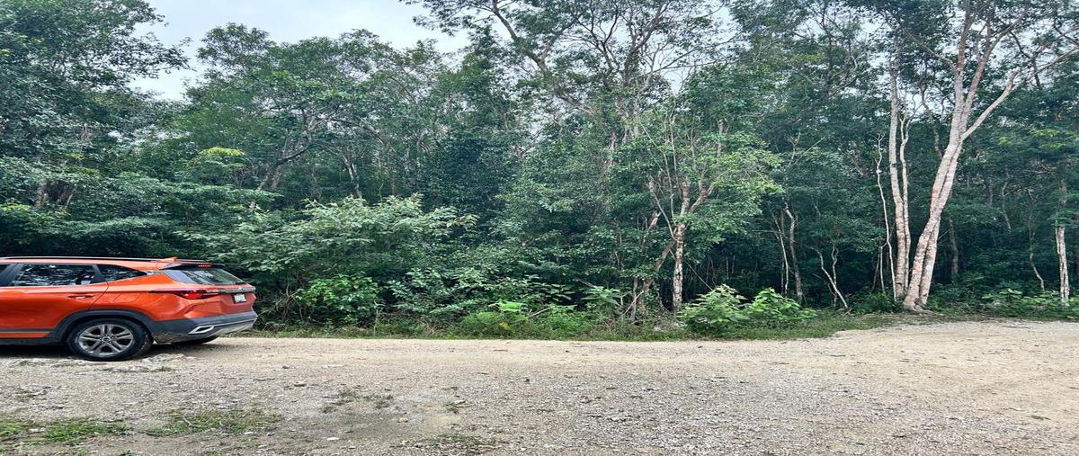 Foto de terreno habitacional en venta en  , bosque de cristo rey, solidaridad, quintana roo, 30340428 No. 04