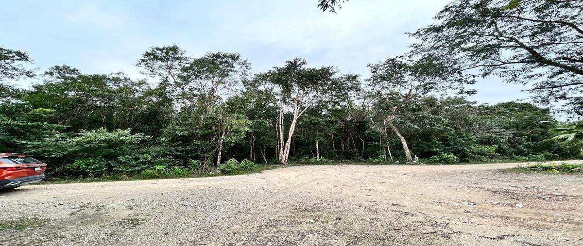 Foto de terreno habitacional en venta en  , bosque de cristo rey, solidaridad, quintana roo, 30340428 No. 05