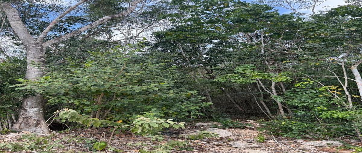 Foto de terreno habitacional en venta en  , bosque de cristo rey, solidaridad, quintana roo, 0 No. 03