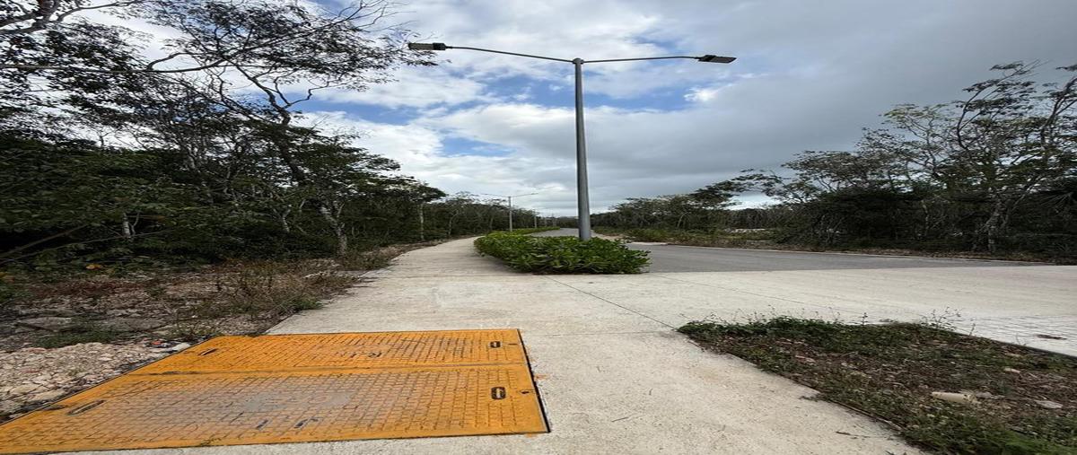 Foto de terreno habitacional en venta en  , bosque de cristo rey, solidaridad, quintana roo, 0 No. 04