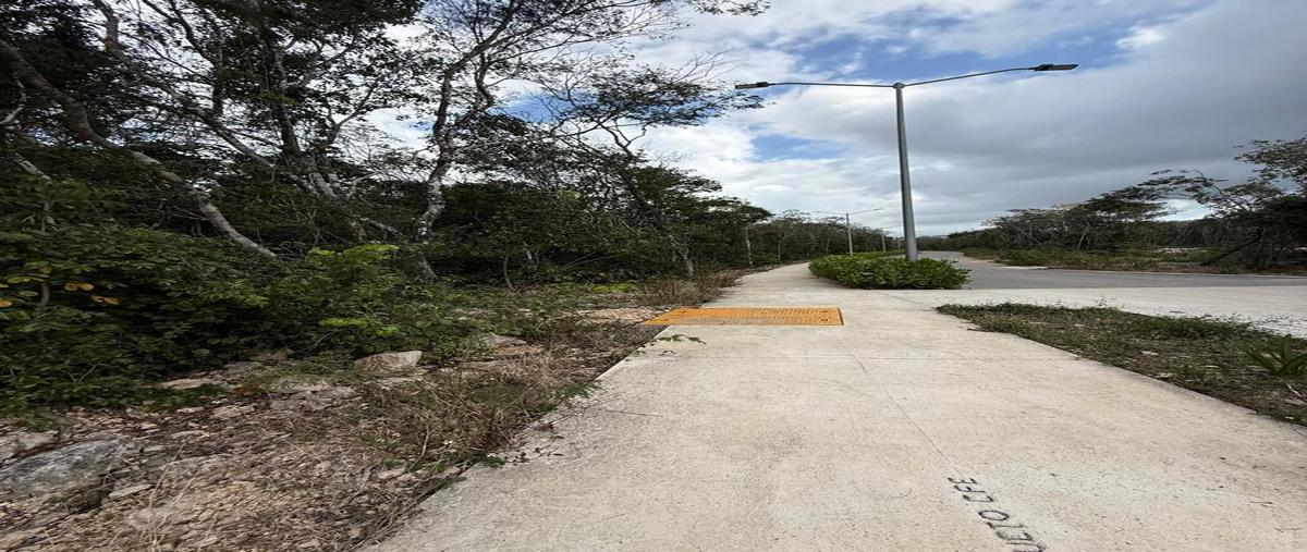 Foto de terreno habitacional en venta en  , bosque de cristo rey, solidaridad, quintana roo, 0 No. 05