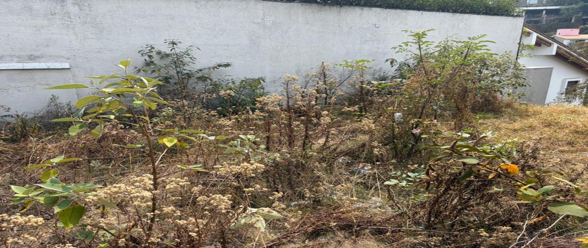 Foto de terreno industrial en venta en bosque de framboyanes , bosque de las lomas, miguel hidalgo, df / cdmx, 31113523 No. 05