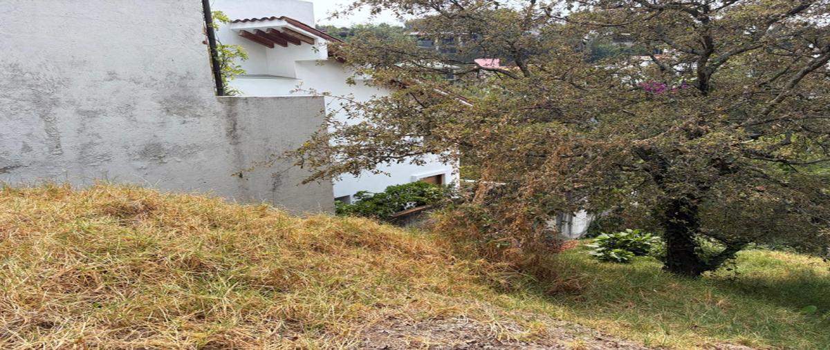 Foto de terreno industrial en venta en bosque de framboyanes , bosque de las lomas, miguel hidalgo, df / cdmx, 31113523 No. 06