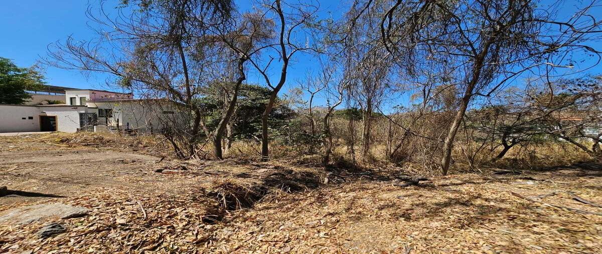 Foto de terreno habitacional en venta en bosque de los colomos , las cañadas, zapopan, jalisco, 29495778 No. 05