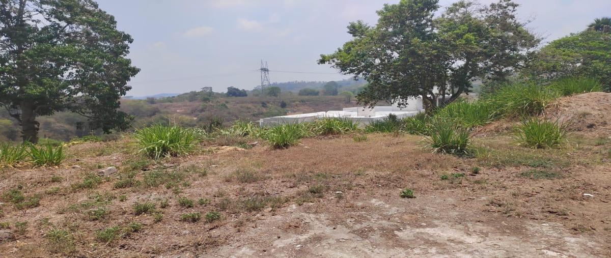 Foto de terreno habitacional en venta en  , bosque de niebla, xalapa, veracruz de ignacio de la llave, 0 No. 04