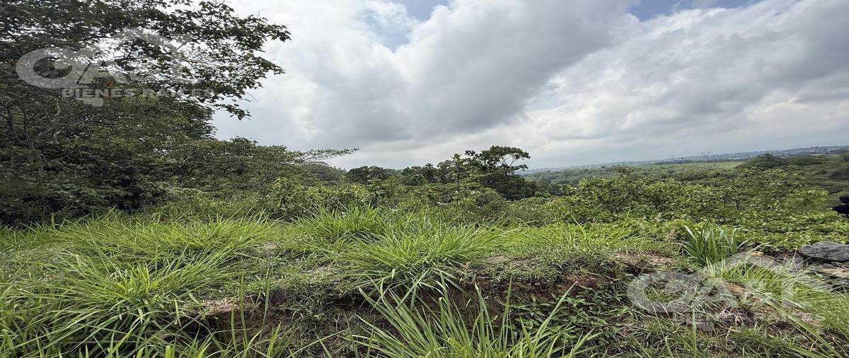 Foto de terreno habitacional en venta en  , bosque de niebla, xalapa, veracruz de ignacio de la llave, 0 No. 03