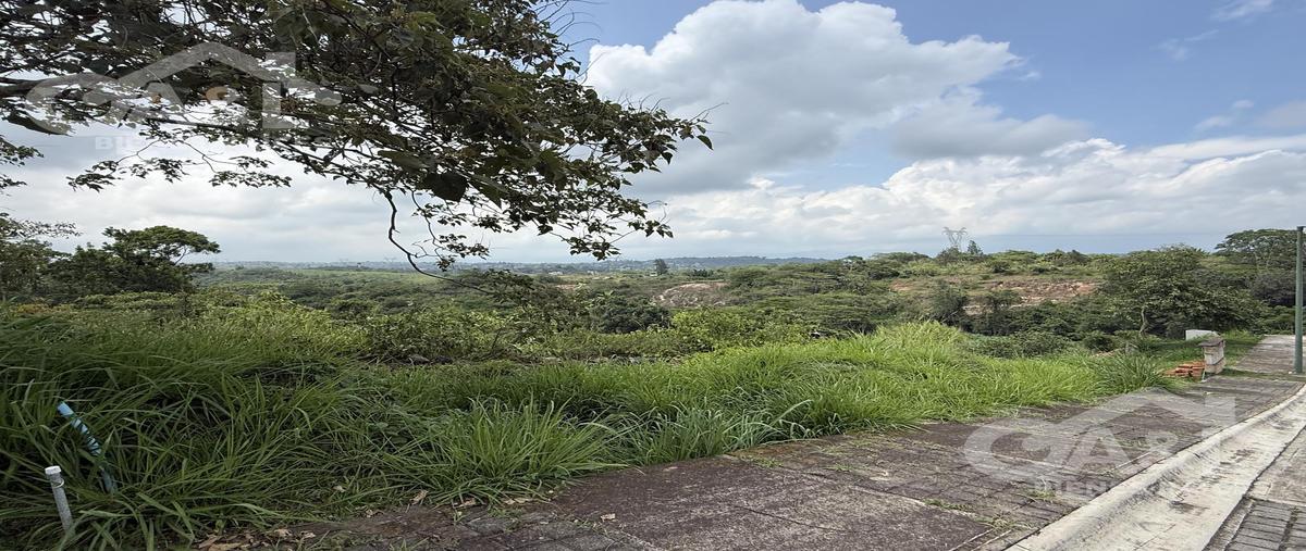 Foto de terreno habitacional en venta en  , bosque de niebla, xalapa, veracruz de ignacio de la llave, 0 No. 04