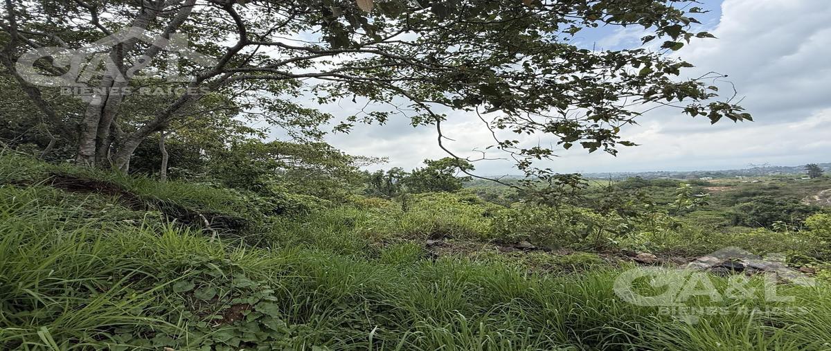 Foto de terreno habitacional en venta en  , bosque de niebla, xalapa, veracruz de ignacio de la llave, 0 No. 05