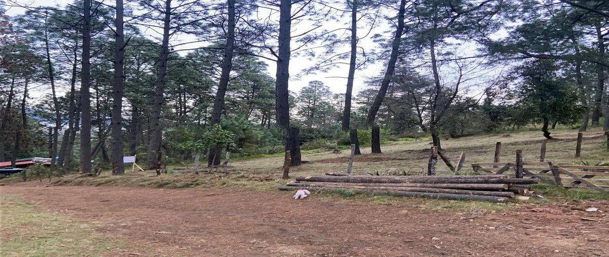 Foto de terreno habitacional en venta en bosque encantado , juanacatlan, juanacatlán, jalisco, 0 No. 03