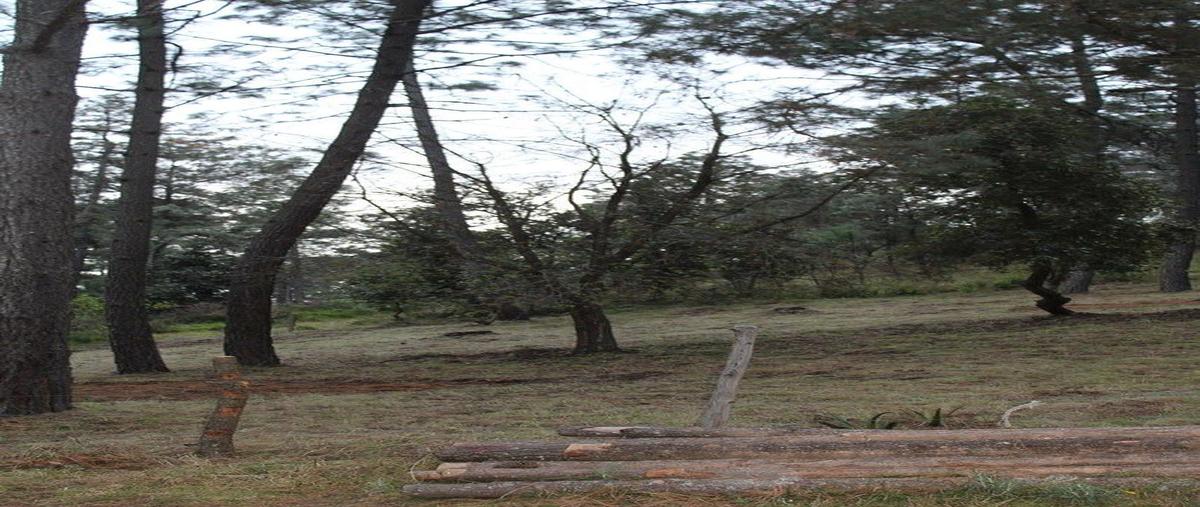 Foto de terreno habitacional en venta en bosque encantado , juanacatlan, juanacatlán, jalisco, 0 No. 04