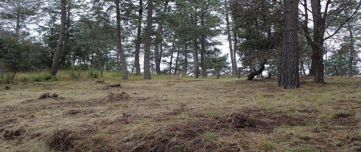 Foto de terreno habitacional en venta en bosque encantado , juanacatlan, juanacatlán, jalisco, 0 No. 05