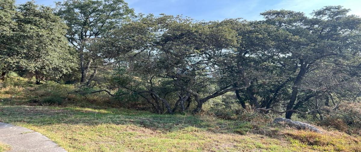 Foto de terreno habitacional en venta en  , bosque esmeralda, atizapán de zaragoza, méxico, 24967406 No. 04
