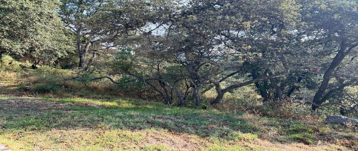 Foto de terreno habitacional en venta en  , bosque esmeralda, atizapán de zaragoza, méxico, 24967406 No. 05