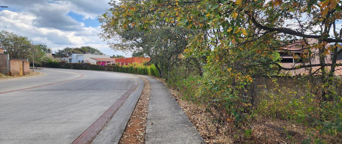 Foto de terreno habitacional en venta en  , bosque monarca, morelia, michoacán de ocampo, 29328138 No. 04