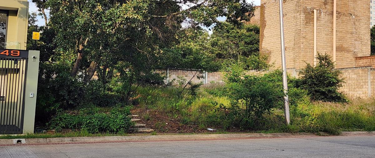 Foto de terreno habitacional en venta en  , bosque monarca, morelia, michoacán de ocampo, 29328138 No. 05