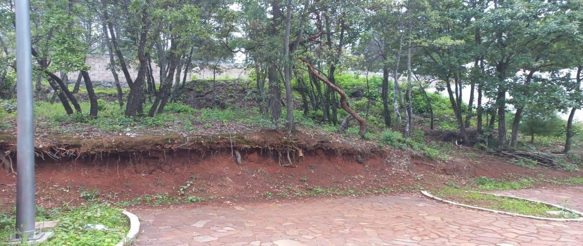 Foto de terreno habitacional en venta en  , bosque monarca, morelia, michoacán de ocampo, 0 No. 03