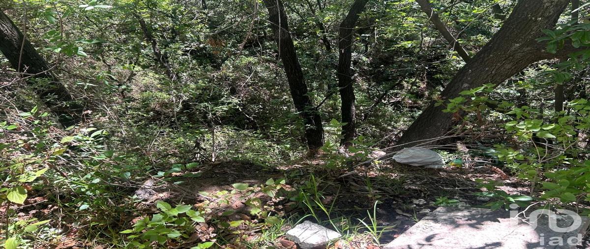 Foto de terreno habitacional en venta en bosque real 143, bosque real, huixquilucan, mÃ©xico, 31464050 No. 04