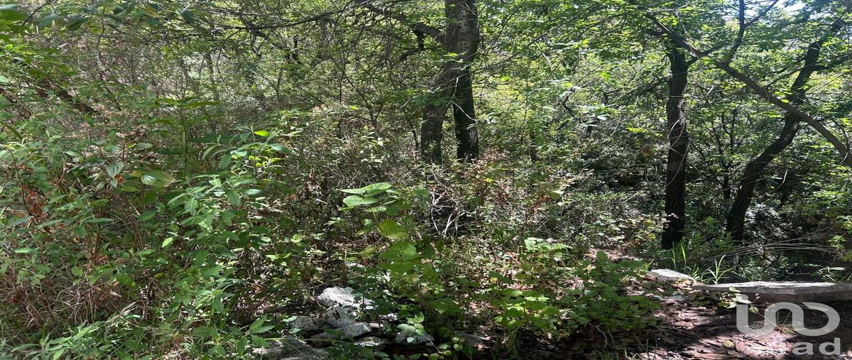 Foto de terreno habitacional en venta en bosque real 170, bosque real, huixquilucan, méxico, 31464050 No. 03