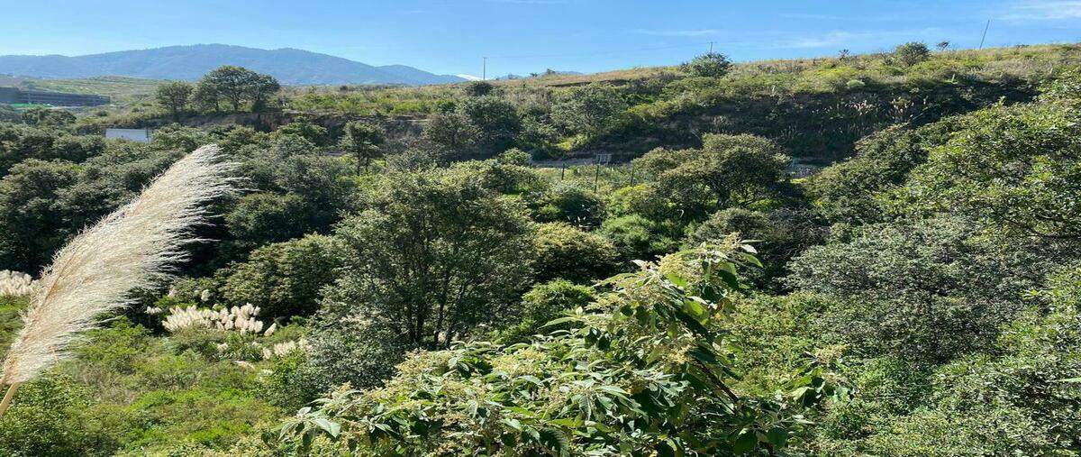 Foto de terreno habitacional en venta en bosque real , bosque real, huixquilucan, méxico, 27699608 No. 05