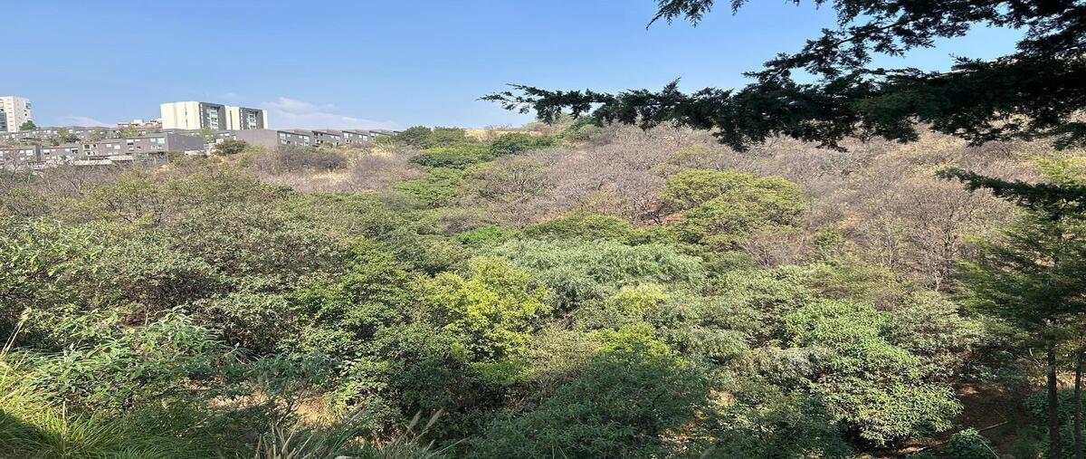 Foto de terreno habitacional en venta en bosque real , bosque real, huixquilucan, méxico, 28155745 No. 04