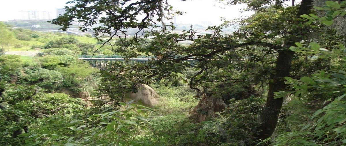 Foto de terreno habitacional en venta en bosque real , bosque real, huixquilucan, méxico, 31021877 No. 03