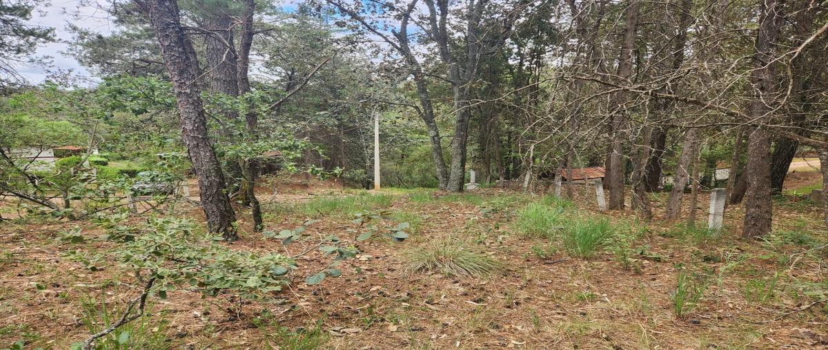 Foto de terreno habitacional en venta en  , bosque real, huasca de ocampo, hidalgo, 25685782 No. 03
