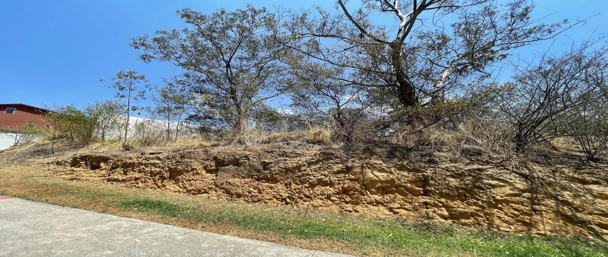 Foto de terreno habitacional en , bosque real, huixquilucan, méxico, 0 foto 02 Foto de terreno habitacional en venta en , bosque real, huixquilucan, méxico, 0 No. 02