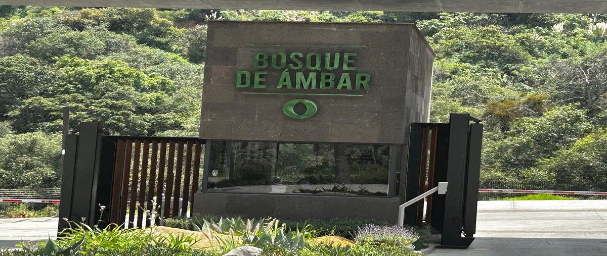 Foto de terreno habitacional en renta en  , bosque real, huixquilucan, méxico, 0 No. 03