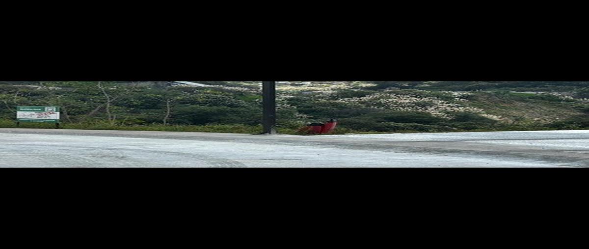Foto de terreno habitacional en renta en  , bosque real, huixquilucan, méxico, 0 No. 05