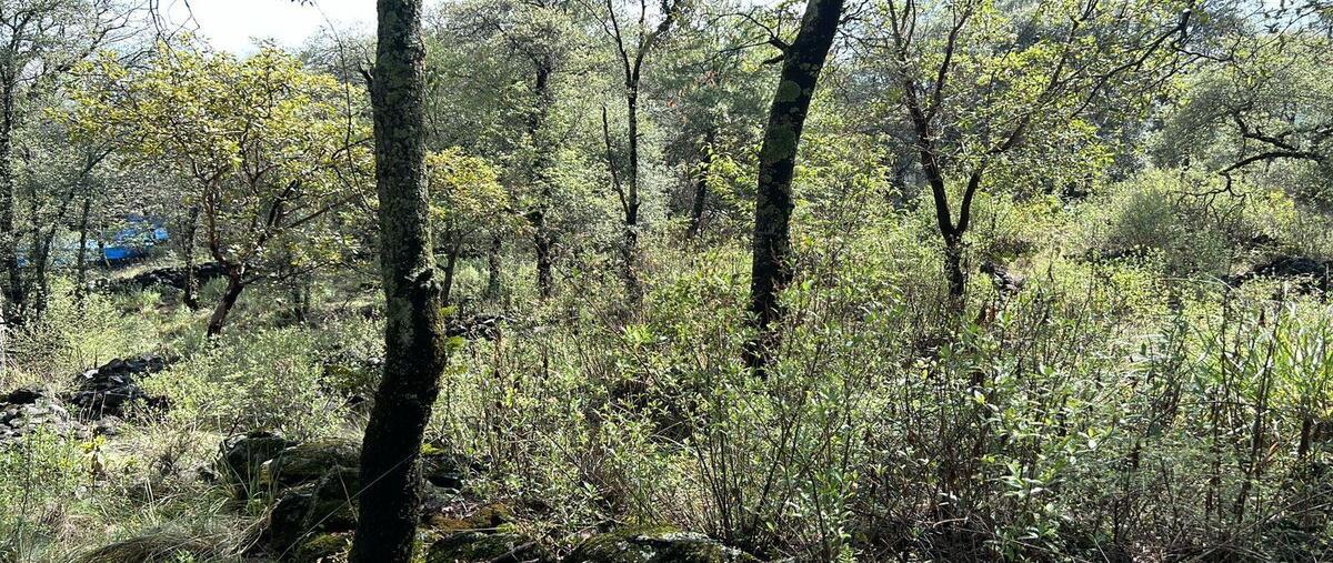 Foto de terreno habitacional en bosque san miguel almayaestado de méxico , san miguel, ocoyoacac, méxico, 28282595 foto 01 Foto de terreno habitacional en venta en bosque san miguel almayaestado de méxico , san miguel, ocoyoacac, méxico, 28282595 No. 01