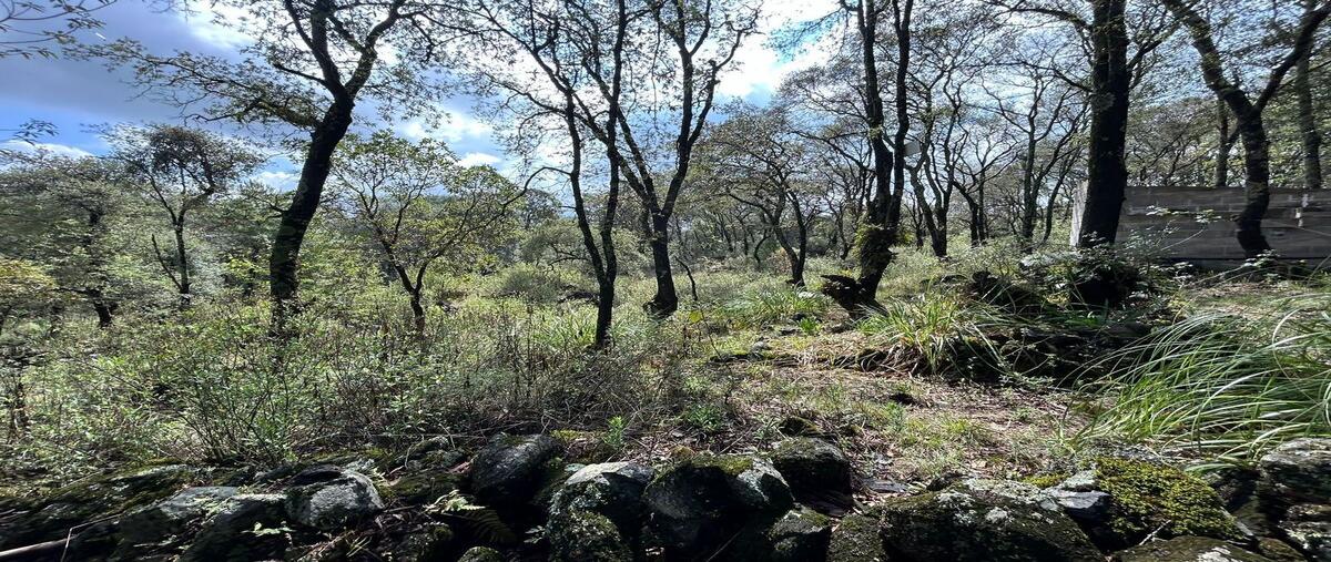Foto de terreno habitacional en bosque san miguel almayaestado de méxico , san miguel, ocoyoacac, méxico, 28282595 foto 03 Foto de terreno habitacional en venta en bosque san miguel almayaestado de méxico , san miguel, ocoyoacac, méxico, 28282595 No. 03
