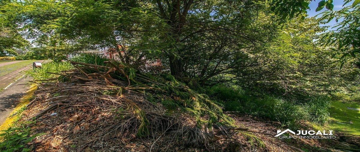 Foto de terreno habitacional en venta en bosques de chapultepec , las cañadas, zapopan, jalisco, 0 No. 05