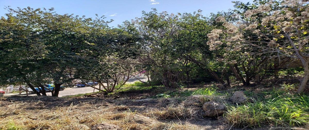 Foto de terreno habitacional en venta en bosques de la cascada , las cañadas, zapopan, jalisco, 0 No. 03