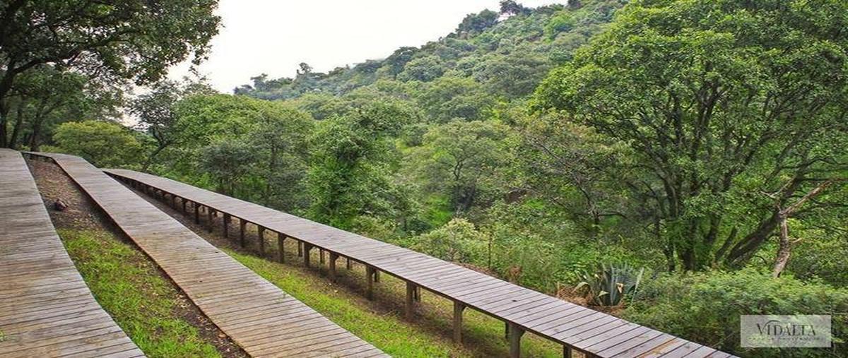 Foto de departamento en venta en  , bosques de las lomas, cuajimalpa de morelos, df / cdmx, 27745603 No. 03